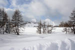 Auf der Alm (15)